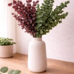 Eucalyptus dried, green Cinerea - Eucalyptus twigs - dried flower bouquet - 3 stems