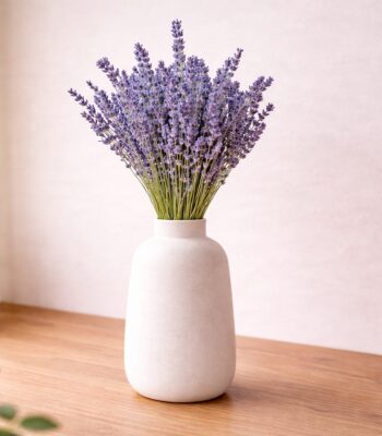 0dd52130 9a9b 40b0 9246 b46aa2089076 - Trockenblumen, Wohndekoration, etc
