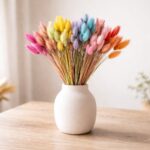 Lagurus dried rainbow - Dried flowers - Bunny Tails - Preserved velvety soft grasses for natural decoration