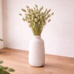 Dried Phalaris natural - Dried grasses - Dried flowers