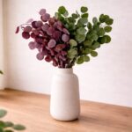 Dried eucalyptus Populus - red/green - 3 stems - eucalyptus twigs - dried flowers - natural decoration
