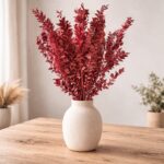 Getrocknter Ruscus, rot getrocknet - Mäusedorn - 3 Stiele