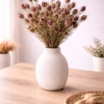 Getrockneter Nigella Natur - Echter Schwarzkümmel für natürliche Dekoration