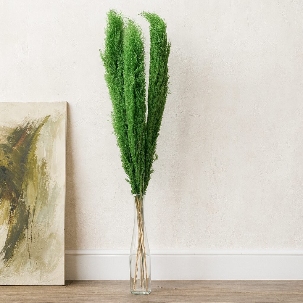 Grünes Pampasgras getrocknet, Naturdekoration - 5 Stiele