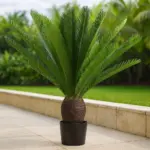 Artificial plant palm cycas lifelike with large fronds, 100cm high, green