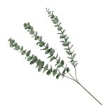 Künstlicher Eukalyptus Zweig 60 cm – 3-fach Eukalyptus Grün