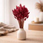 Lagurus getrocknet, Bordeaux - Bunny Tails, Samtgras – 25 Stiele
