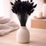 Lagurus getrocknet, Schwarz - Bunny Tails, Samtgras – 25 Stiele