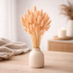 Lagurus getrocknet, Salm - Bunny Tails, Samtgras – 25 Stiele