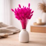 Lagurus getrocknet, Pink - Bunny Tails, Samtgras – 25 Stiele