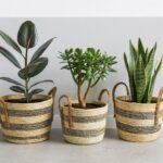Pflanzkörbe Grau, Weiß - Deko-Korb Set - Boho-Stil - 3er Set Naturkörbe