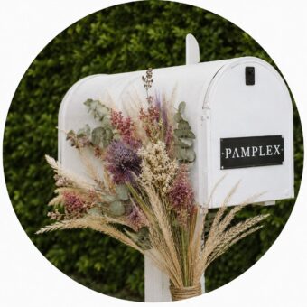 kontakt pamplex - Trockenblumen, Wohndekoration, etc