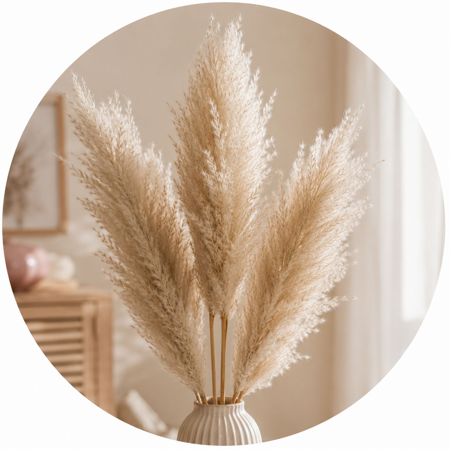 Pampasgras in natürlichen Farbtönen als elegante Boho-Dekoration für Wohnzimmer, Schlafzimmer und Hochzeitsdekoration.