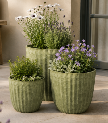 894fd979 7662 4c77 a4a2 466f799fb337 - Trockenblumen, Wohndekoration, etc