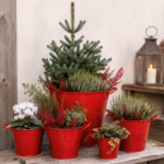 Zinkeimer Blumentopf Rot – Metall Pflanztopf mit Griffen, Übertopf für Garten & Terrasse | 5 Größen (Kopie)