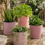 Keramik Blumentopf Rosa 13/11cm – Pflanztopf mit Fußrille - 2 Farben