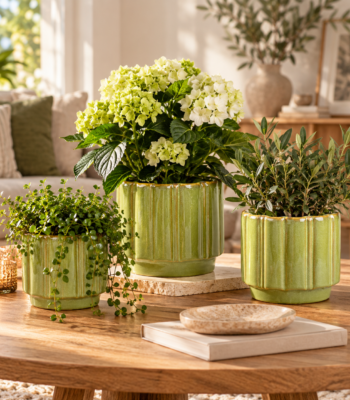 Grüner Keramik Blumentopf mit geriffelter Oberfläche und Antik Glasur in drei Größen