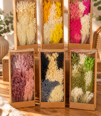 Sechs Trockenblumen-Sortimente in Natur, Gelb, Pink, Altrosa, Schwarz und Grün, jeweils in einer rechteckigen Verpackung.